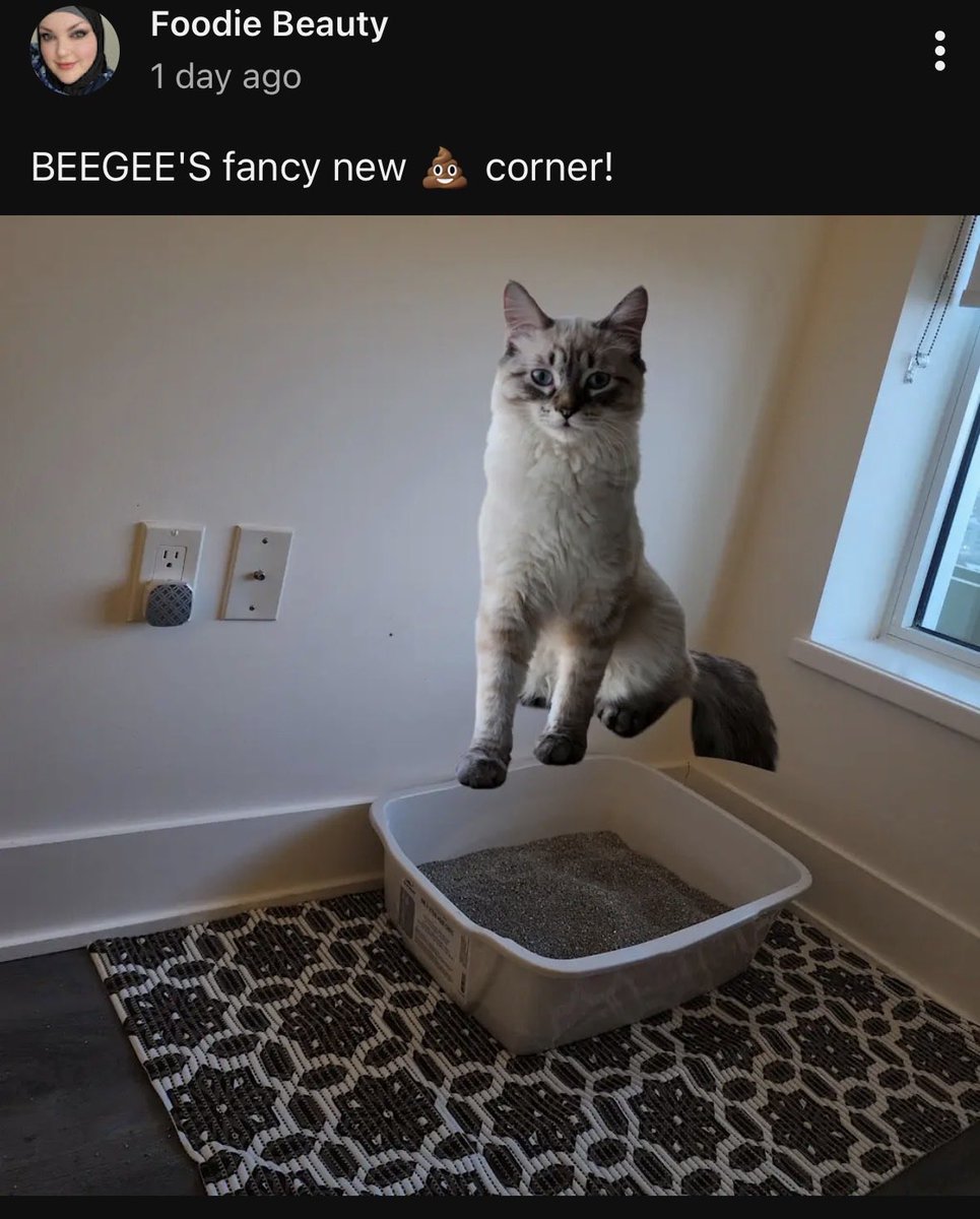 Trashygorly☠️🗑️🌸 tweet media