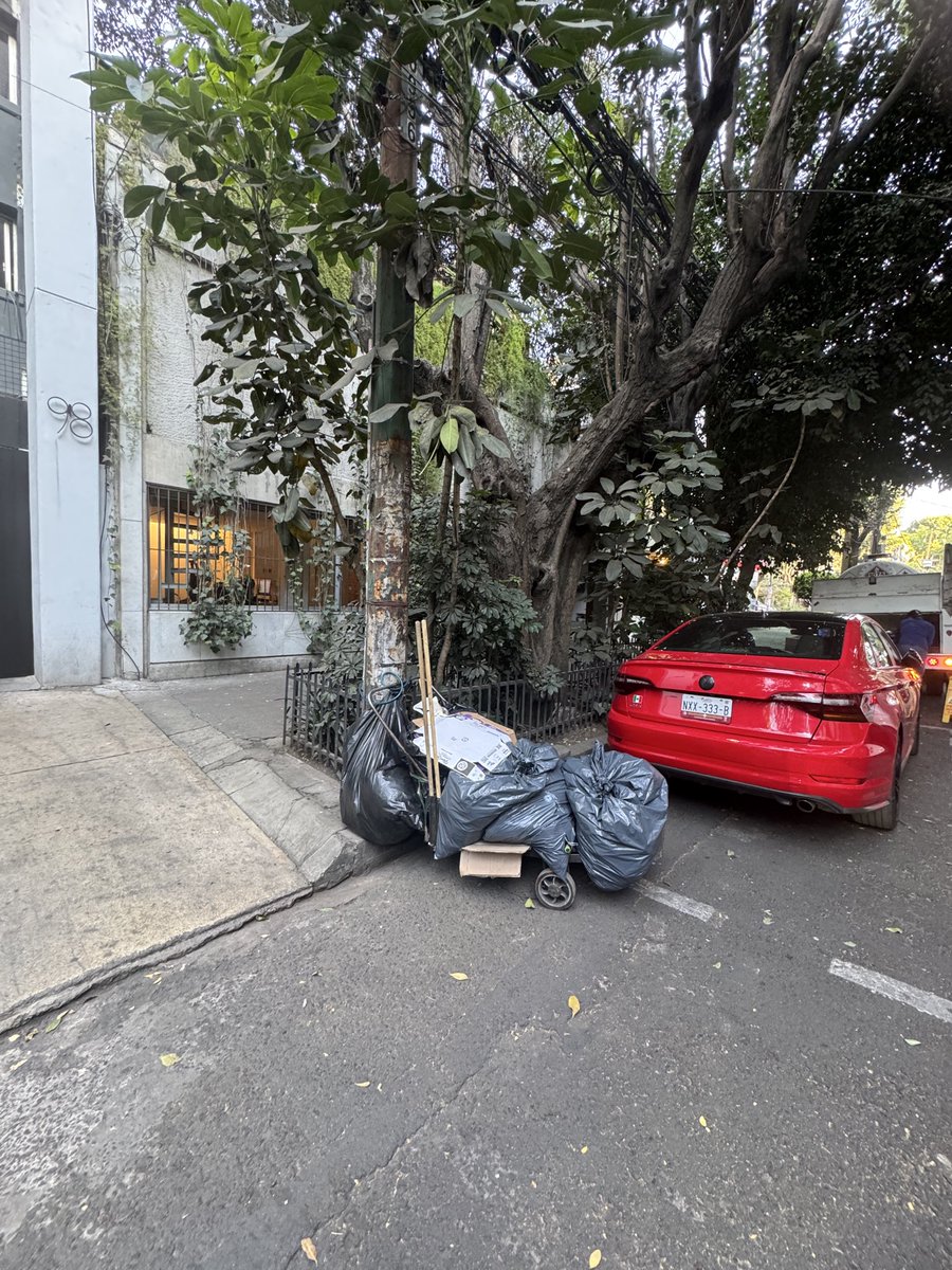 lolarerom tweet media