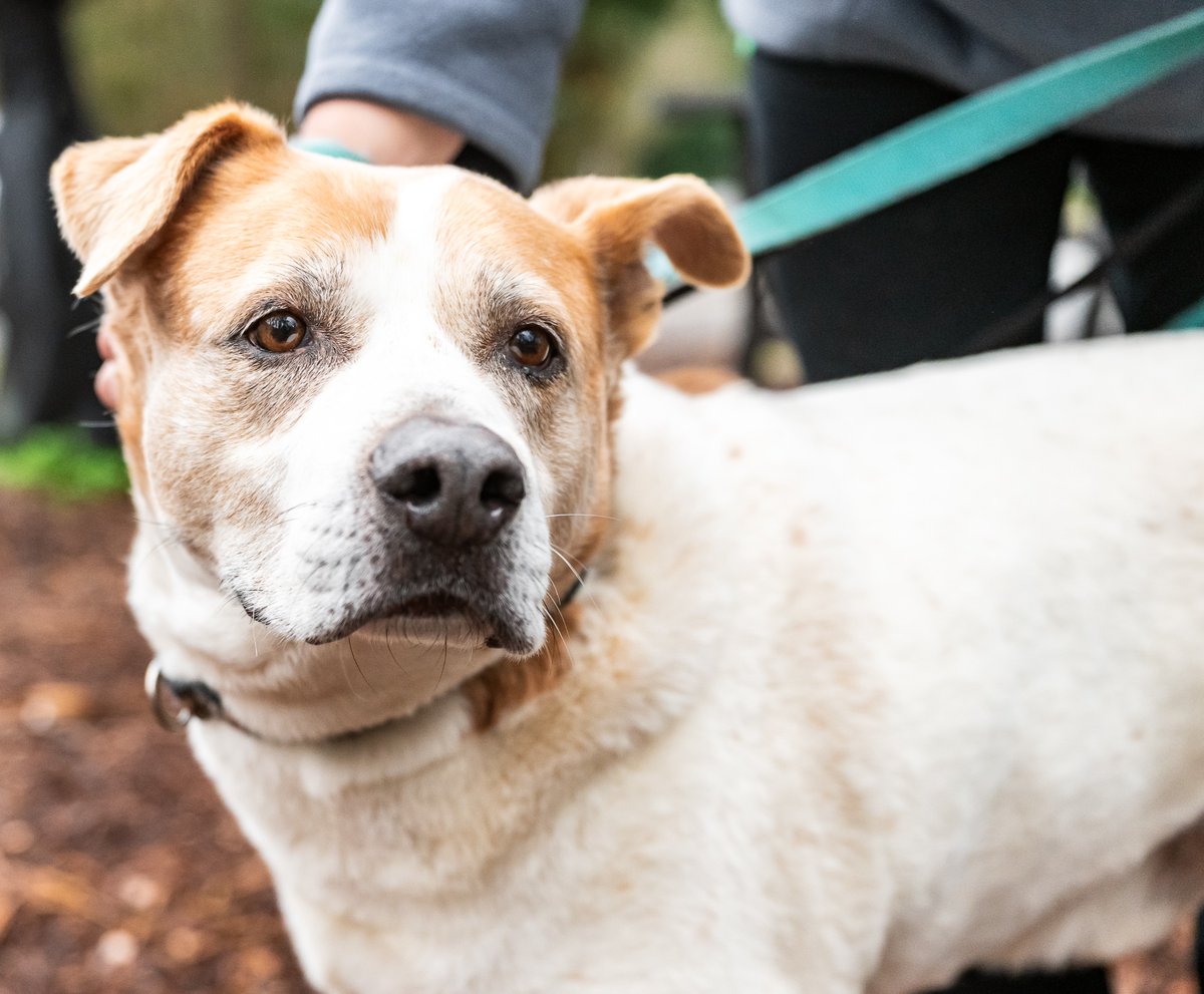 Carter Subaru tweet media