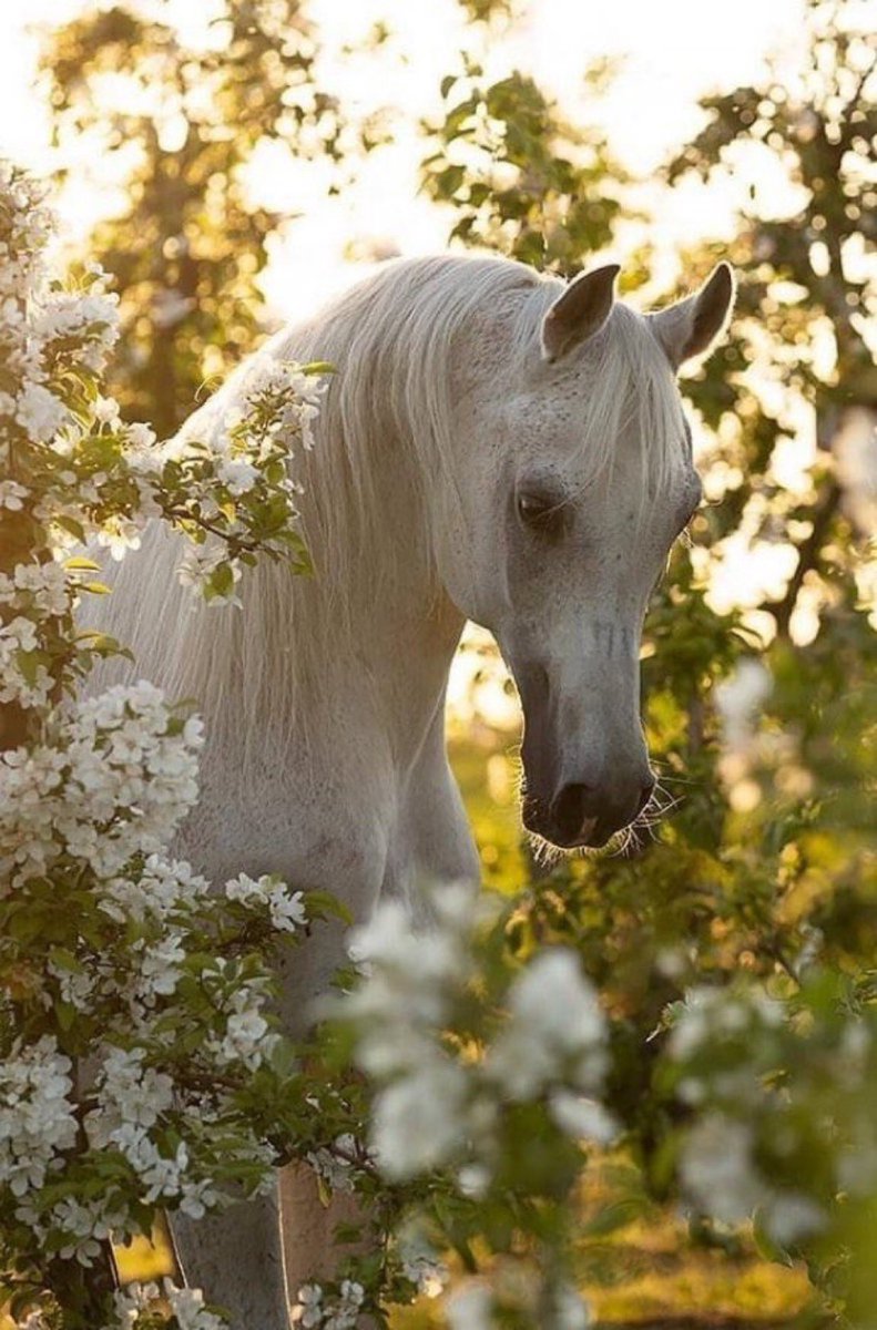 هي الأخوة تبتسم لنا فتسعد قلوبنا
 وهي جمال الصداقة التي تشرق علينا 
بكل النور في حياتنا فما أجمل تلك الأرواح 
 التي تحيطُ بنا حباً وعطاء 🍃🍃🍃🌸