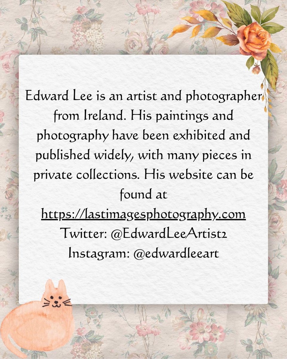 The Orange Rose Literary Magazine tweet media