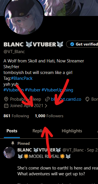 BLANC 🐺VTUBER🐺 tweet media