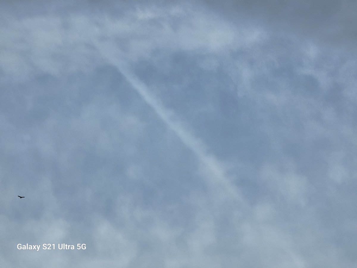 Does the #evil effort take a day off? Not here in #Missouri over our property. Do your job <a href="/epaleezeldin/">Lee Zeldin</a> and stop this obvious crap in our skies.