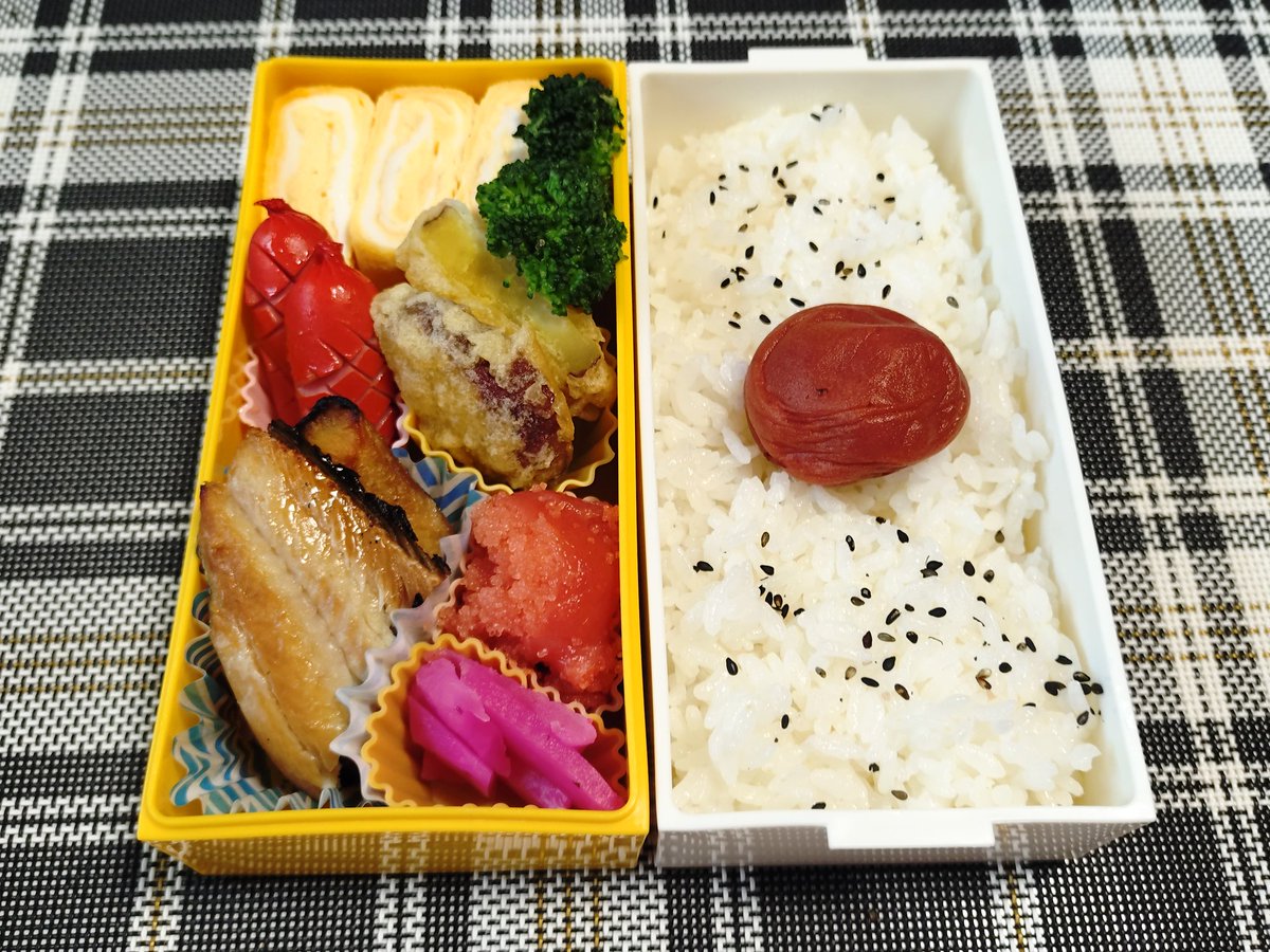 お弁当も出来たし仕事に行って来るぞぃ😤