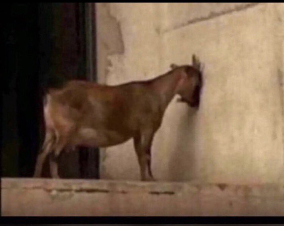 Another day with 2,000 Impressions.
Na like this person wan reach 5M 🥲