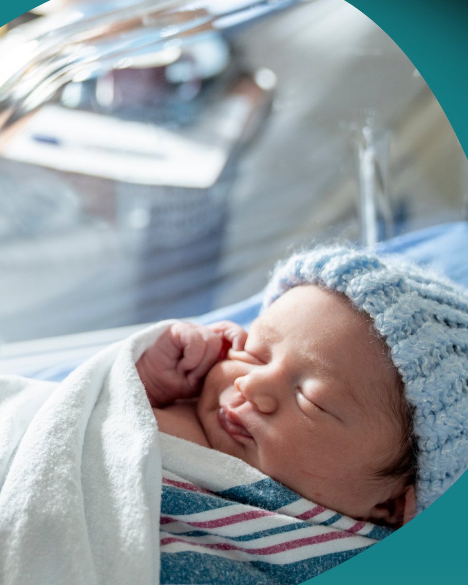 ViaCord's tweet photo. Collecting stem cells right after birth means they're brand new – untouched by time or illness. You're preserving your baby's youngest, most potent building blocks for the future.💪

Do you have any questions about cord blood banking? Leave them here!⬇️ https://t.co/zxtAvMG3j8