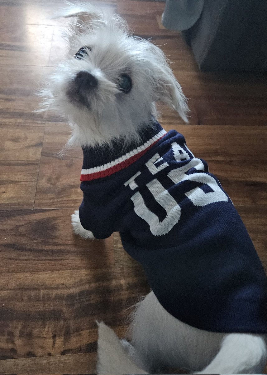 queeng199's tweet photo. @comcast Thank you so much for the #TeamUSA gear! Opal looks fantastic! Gooooooo, USA! https://t.co/19JrtrtMZZ