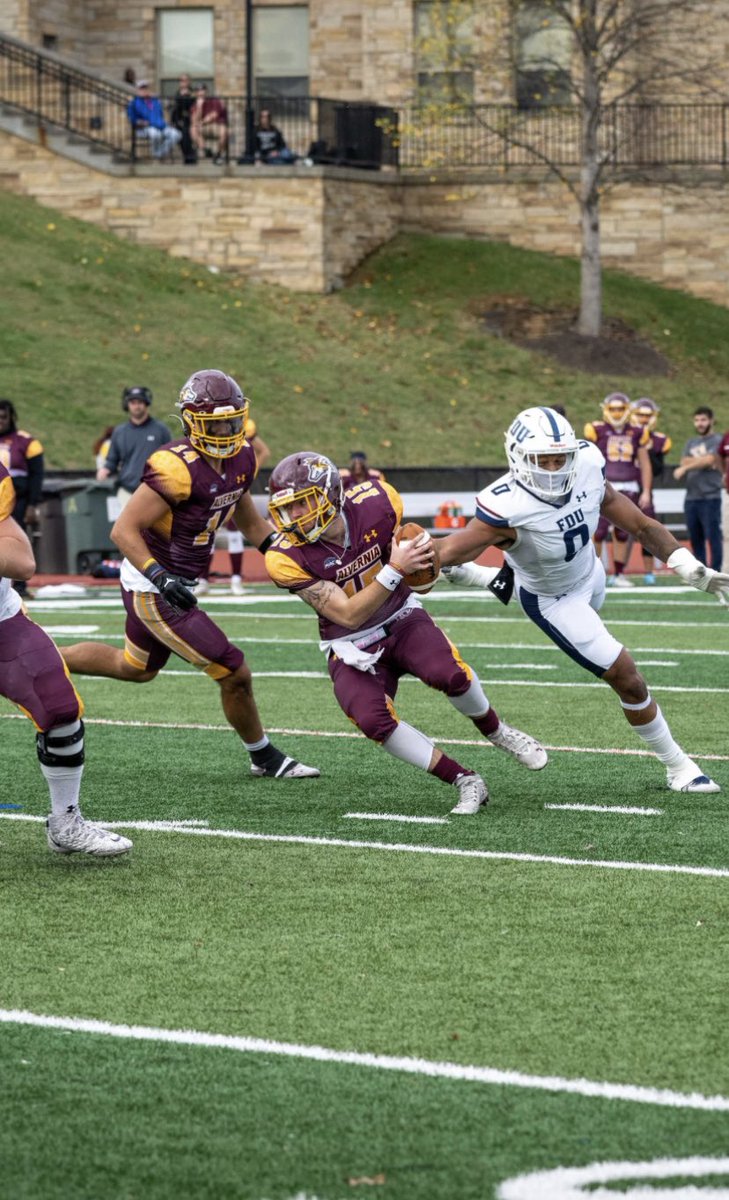 Lou Sepe tweet media