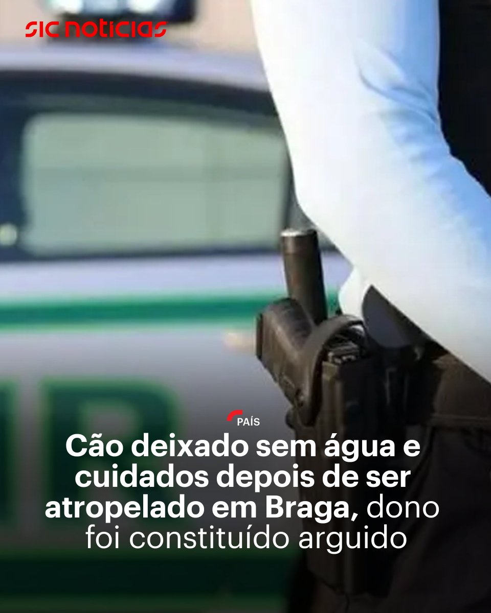 SICNoticias's tweet image. O suspeito, indiciado pelo crime de maus-tratos a animais de companhia, foi constituído arguido, tendo os factos sido remetidos ao Tribunal Judicial de Braga.

Saiba mais em: bit.ly/4017Gqe

#braga #animais #pais #portugal #news #sicnoticias