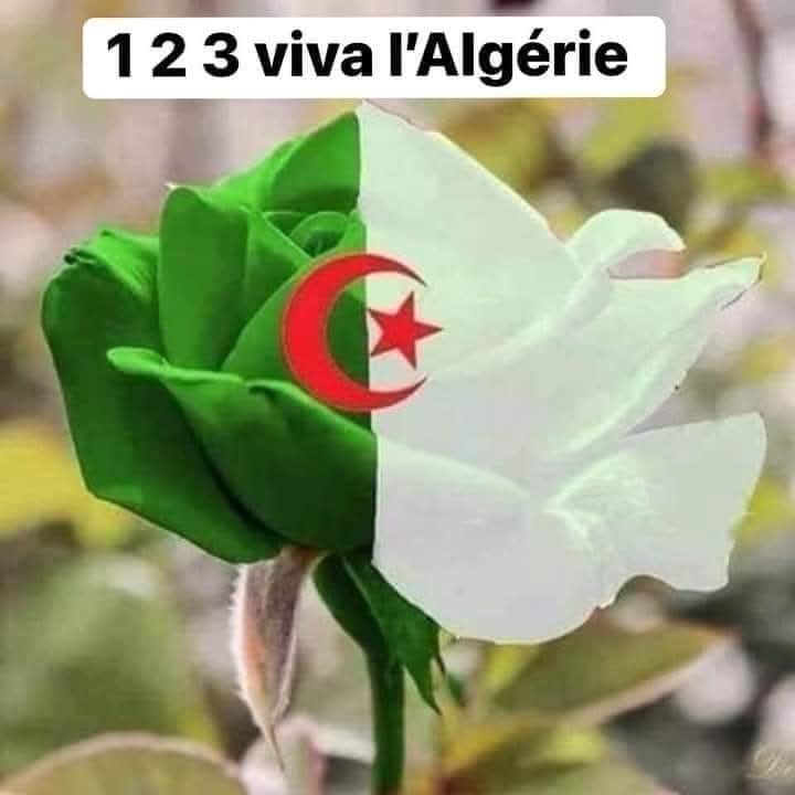 BOURSIN63's tweet photo. @eciotti https://t.co/FdkTih9ofa