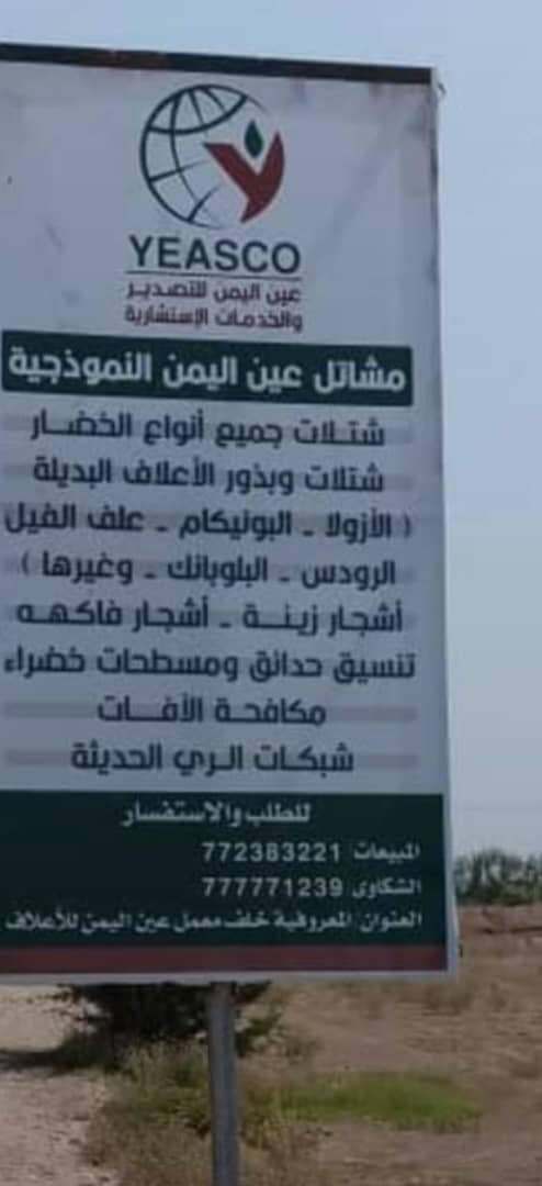 Sahmi_sam's tweet photo. شتلات اعلاف البونيكام
مشاتل عين اليمن https://t.co/KpZEYAPyV1