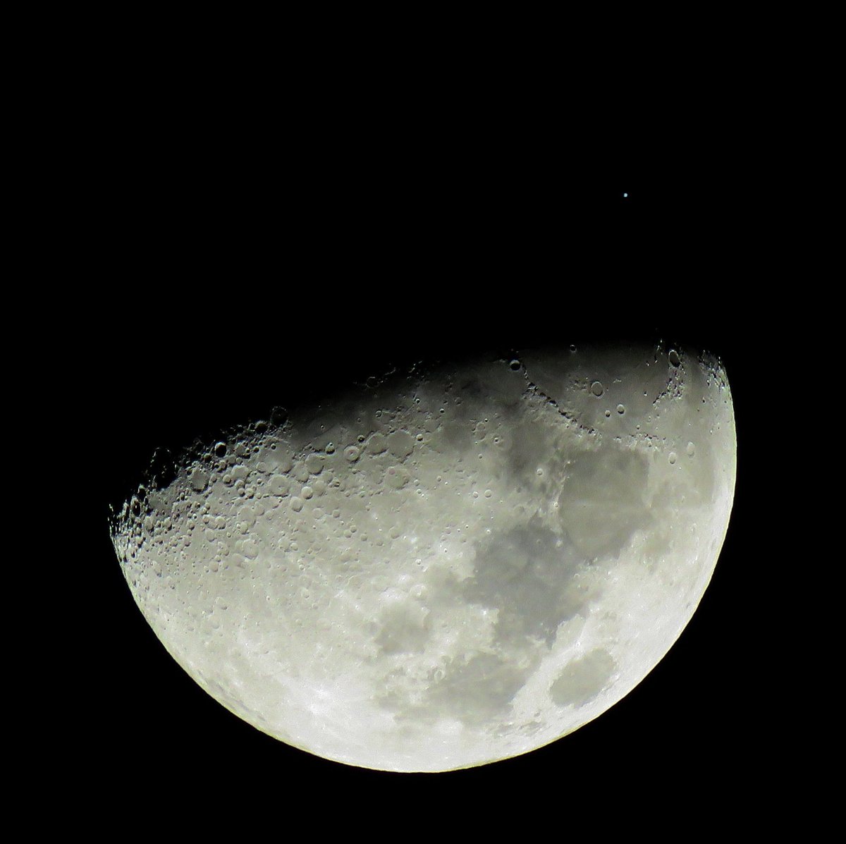 عيسى الغفيلي tweet media