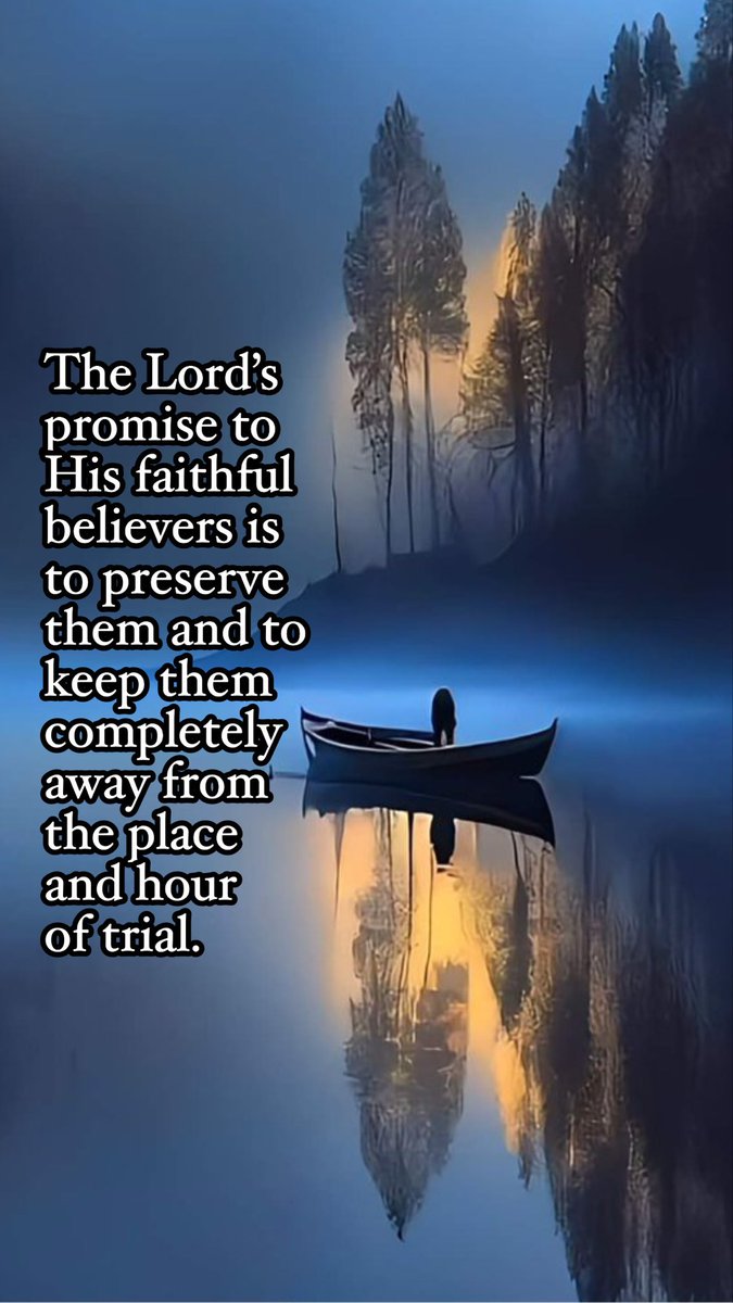 nelsonbibit tweet media