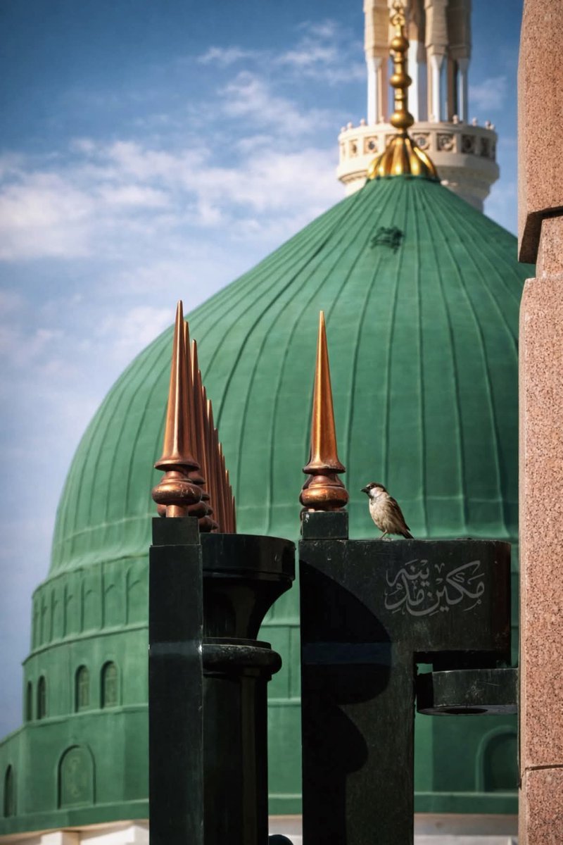 السلام علیکم ورحـــــــمةالله وبركآته
صبح بخیر
اللہ تو انتظار کرتا ہے کہ میرا بندہ تھک ہار کر میرے پاس آئے اور میں اس کے دل کو سکون سے بھر دوں۔  اور جب اللہ کی مد تمہارے لیے آئے گی تب تمہارے آنسو، تمہارا تڑپنا ایسے خوشیوں میں بدلتا نظر آئے گا کہ تم حیران رہ جاؤ گے۔