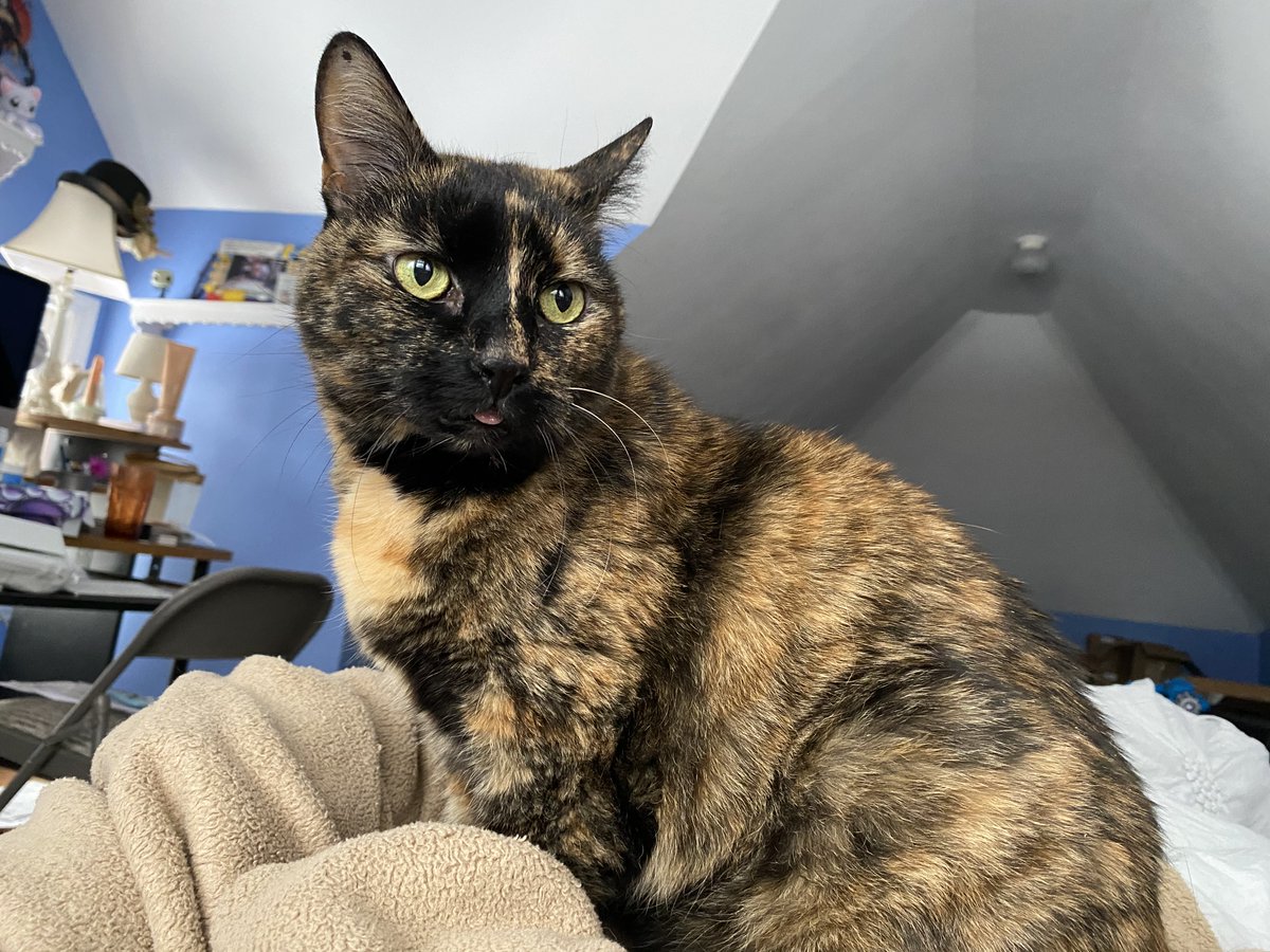 Teen Sensation Billy Tucci® tweet media