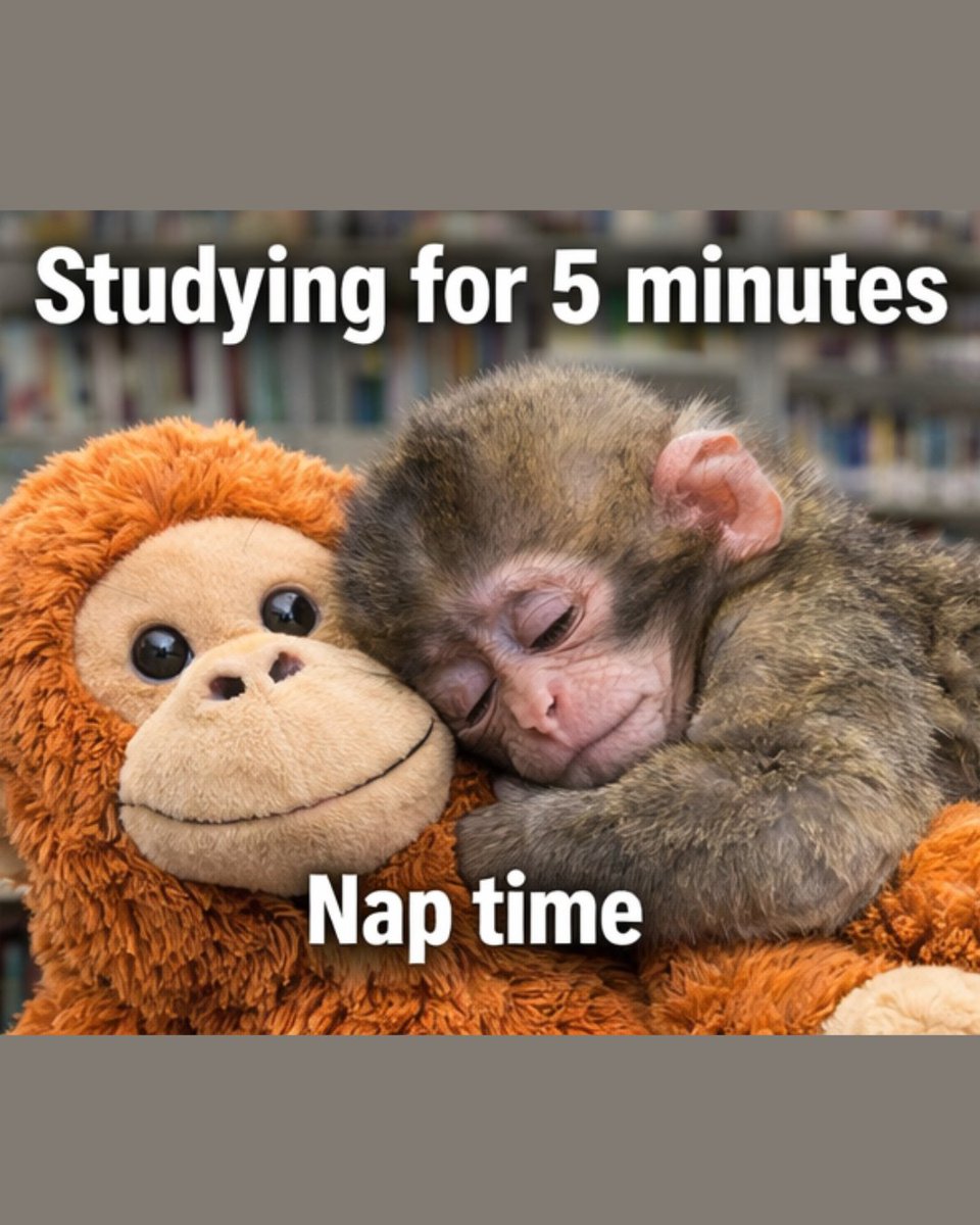 ByWater Solutions tweet media