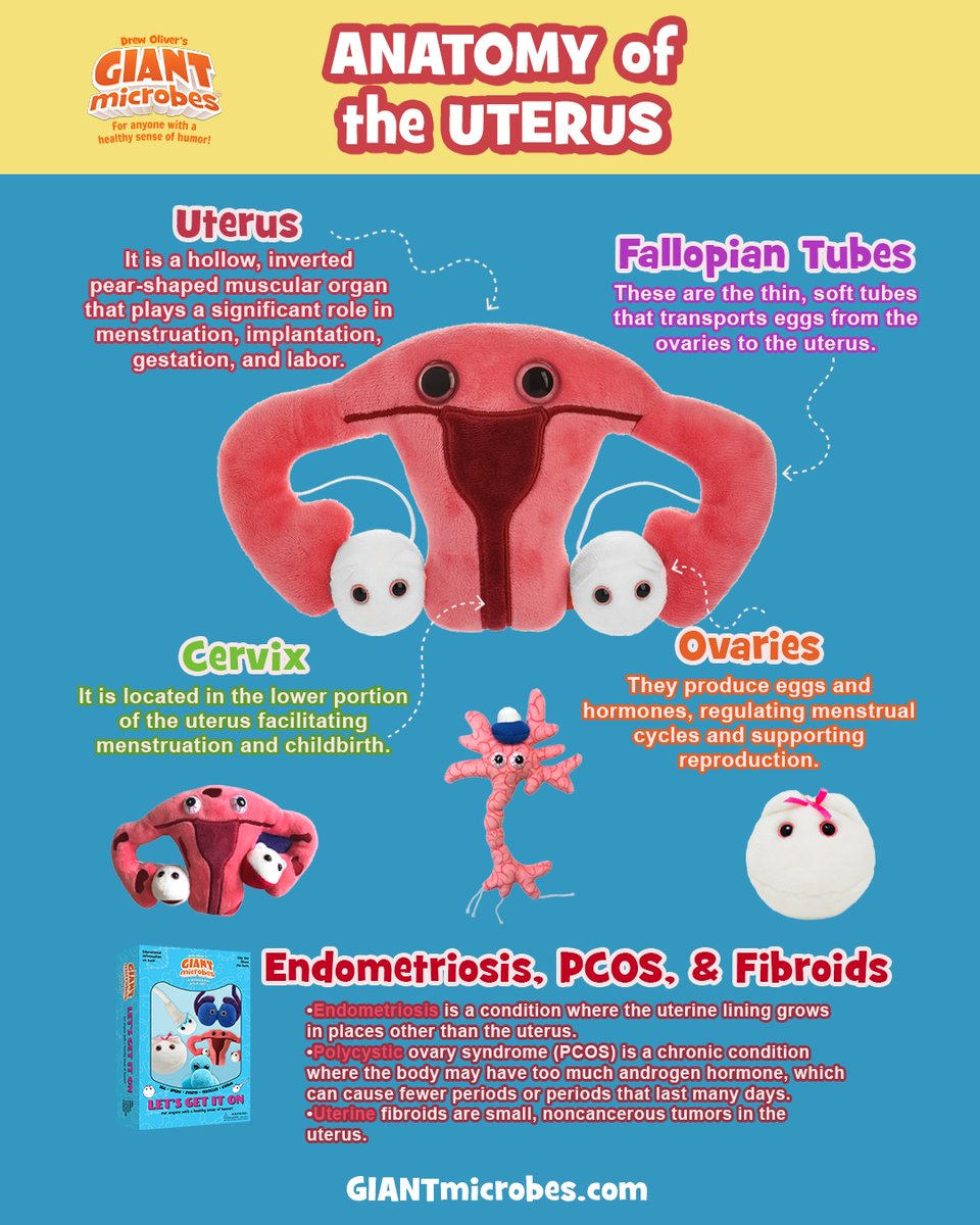 GIANTmicrobes's tweet image. 💗 Periods. Fertility. PCOS. Hormones. Hysterectomy. Real life.
✨ Save 20% on all reproduction plushies w/ code GMUTERUS20 (auto applies at checkout): tinyurl.com/GMUTERUS20

Educate, empower &amp;amp; normalize reproductive health! 🤗
#GIANTmicrobes #ReproductiveHealth #PCOSAwareness