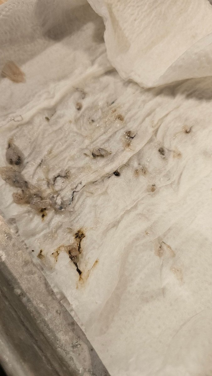 Karizma Charm tweet media