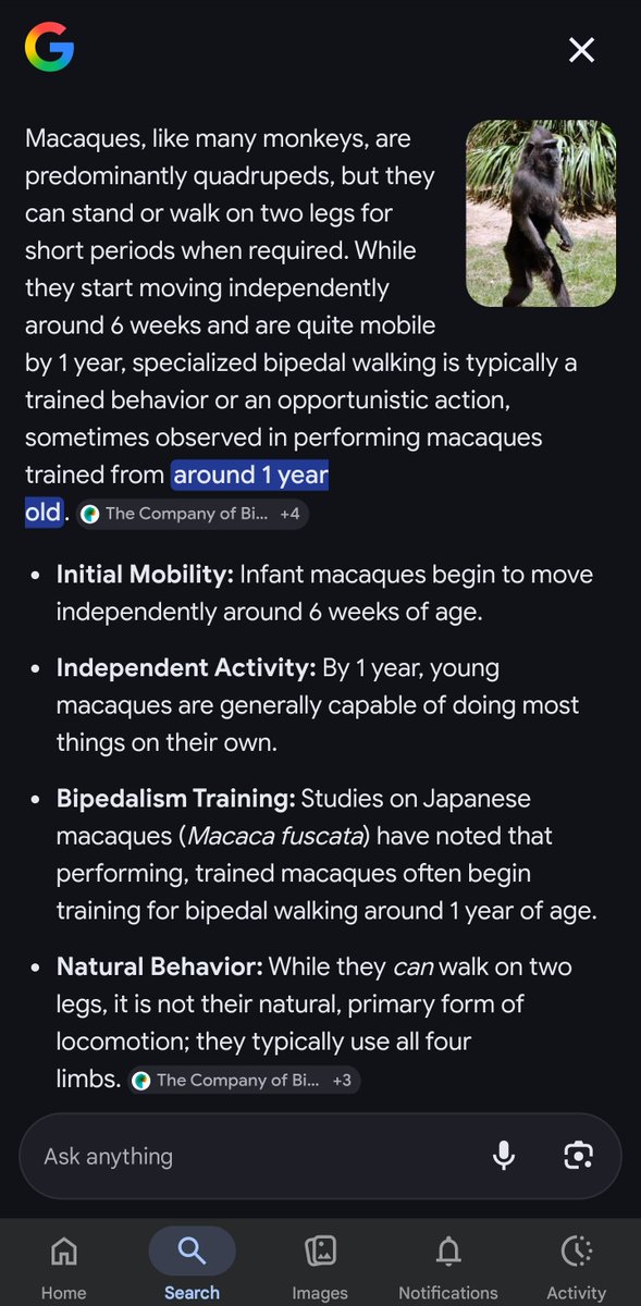 peko chan tweet media