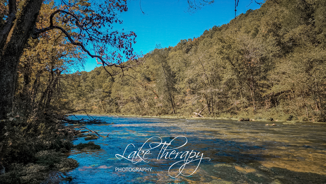 laketherapypics's tweet image. This is what happens when you follow a sound you can’t quite name.
Turned out to be the river calling. And I’m glad I listened.
#RiverCalling #TrailMagic #ListenToNature