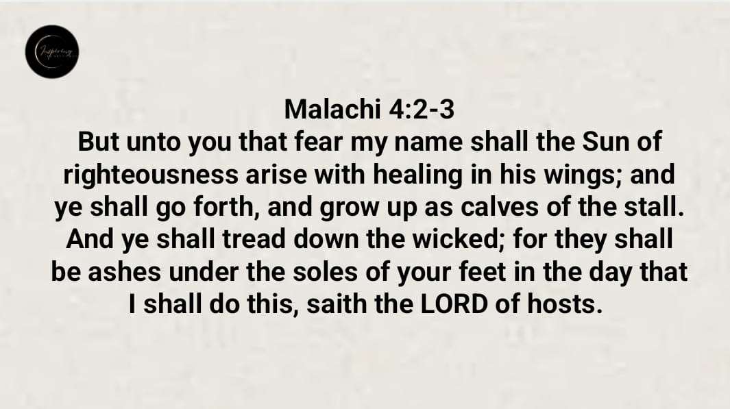 InspiringScrip1's tweet photo. PROPHECY 
Malachi 4:2-3
#inspiringscriptures #Prophecy https://t.co/jMY2FOFnHJ