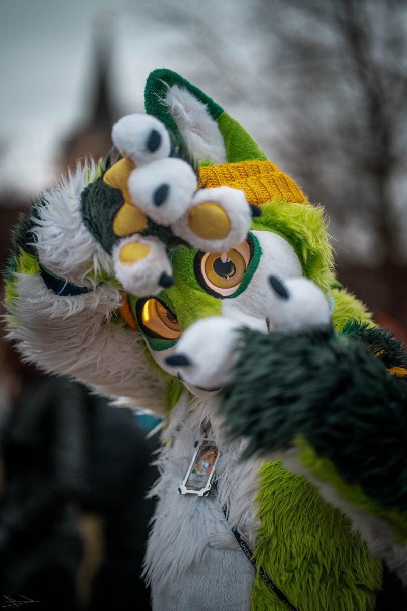 Lick's Photo tweet media