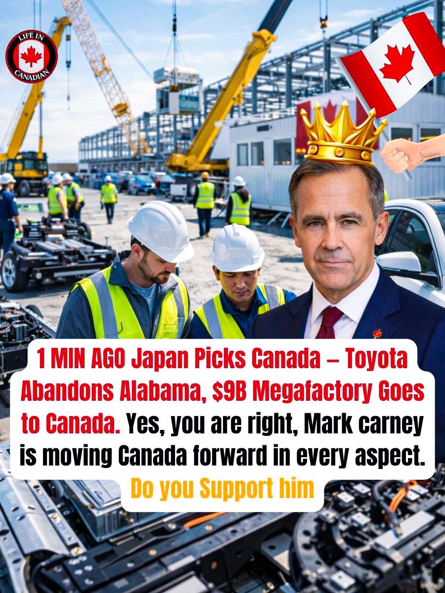 My Prime Minister <a href="/MarkJCarney/">Mark Carney</a> <a href="/liberal_party/">Liberal Party</a>
