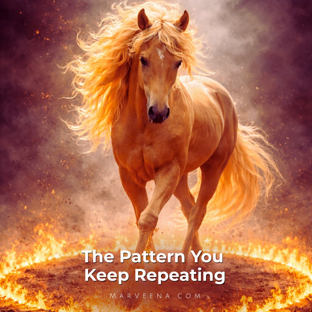 Something to think about today...

What's the difference between can’t and can?

I believe it’s the breadth of your resilience, the depth of your conviction, and the height of your character.

It’s something you
🏇🔥🏇
