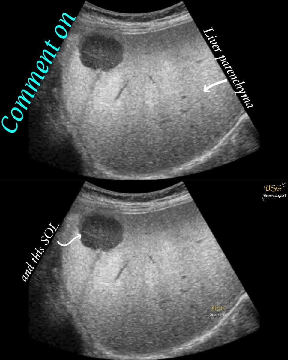EchoTech tweet media