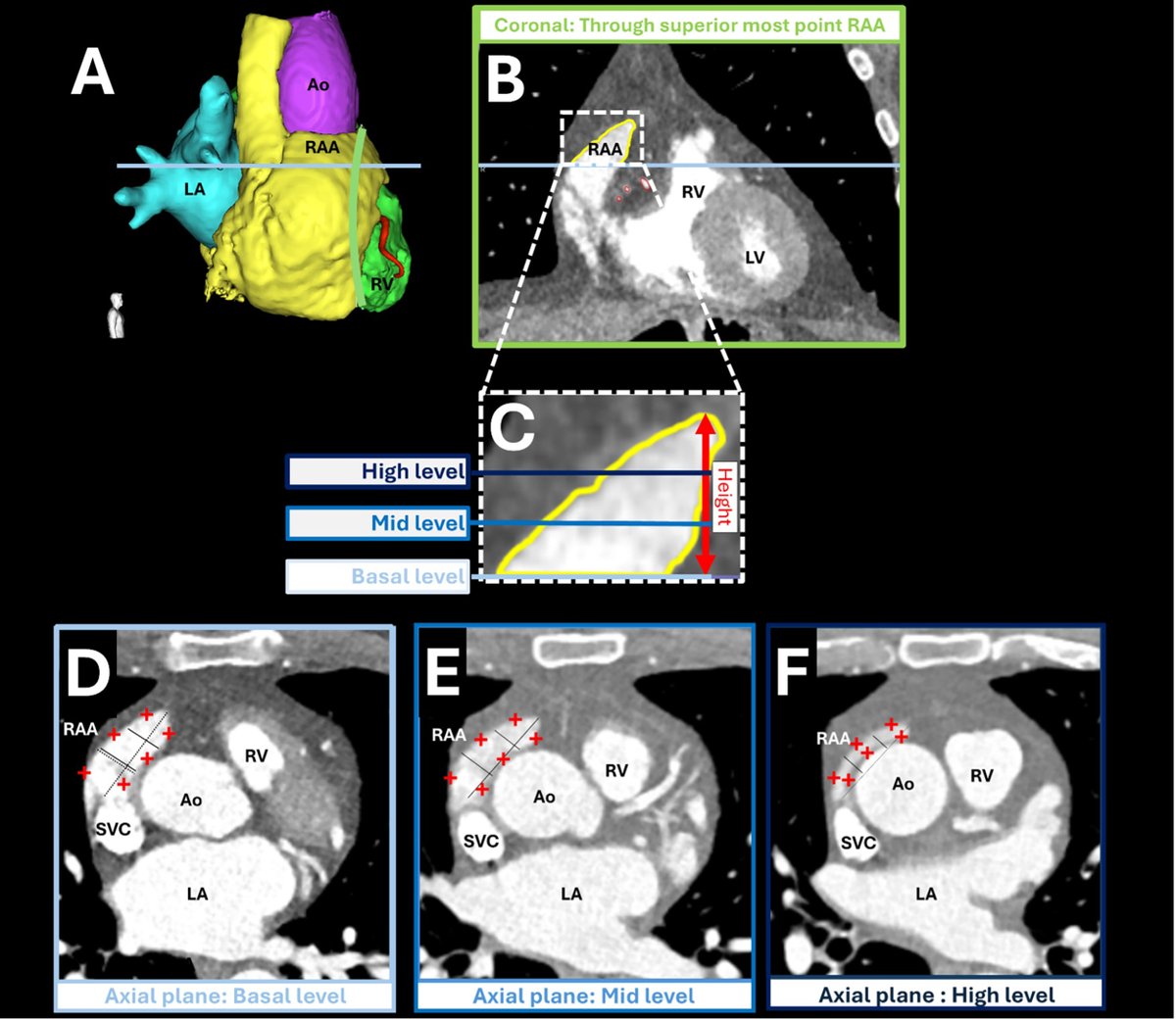 Pasquale Santangeli tweet media