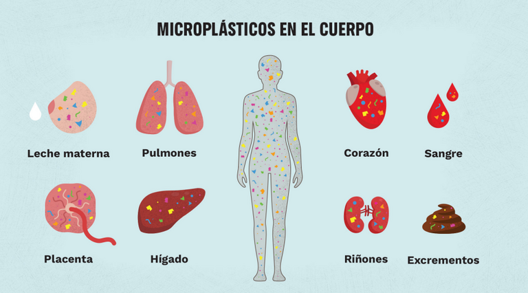 Greenpeace Colombia tweet media