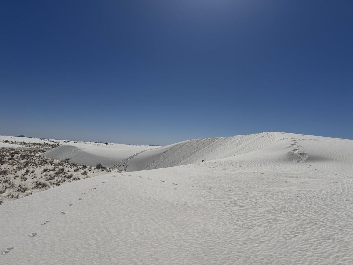 Guy Cipriano tweet media