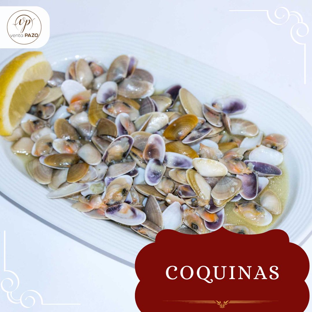 Sabor a mar en cada bocado 🌊 Nuestras coquinas al ajillo son pura frescura. 

Ven a disfrutarlas en Venta Pazo ⬇️

🏠 Ctra. Sevilla – Huelva (Sanlúcar la Mayor)
☎️ 955 700 110
🌐 restauranteventapazo.es

#ComerEnSevilla #Coquinas