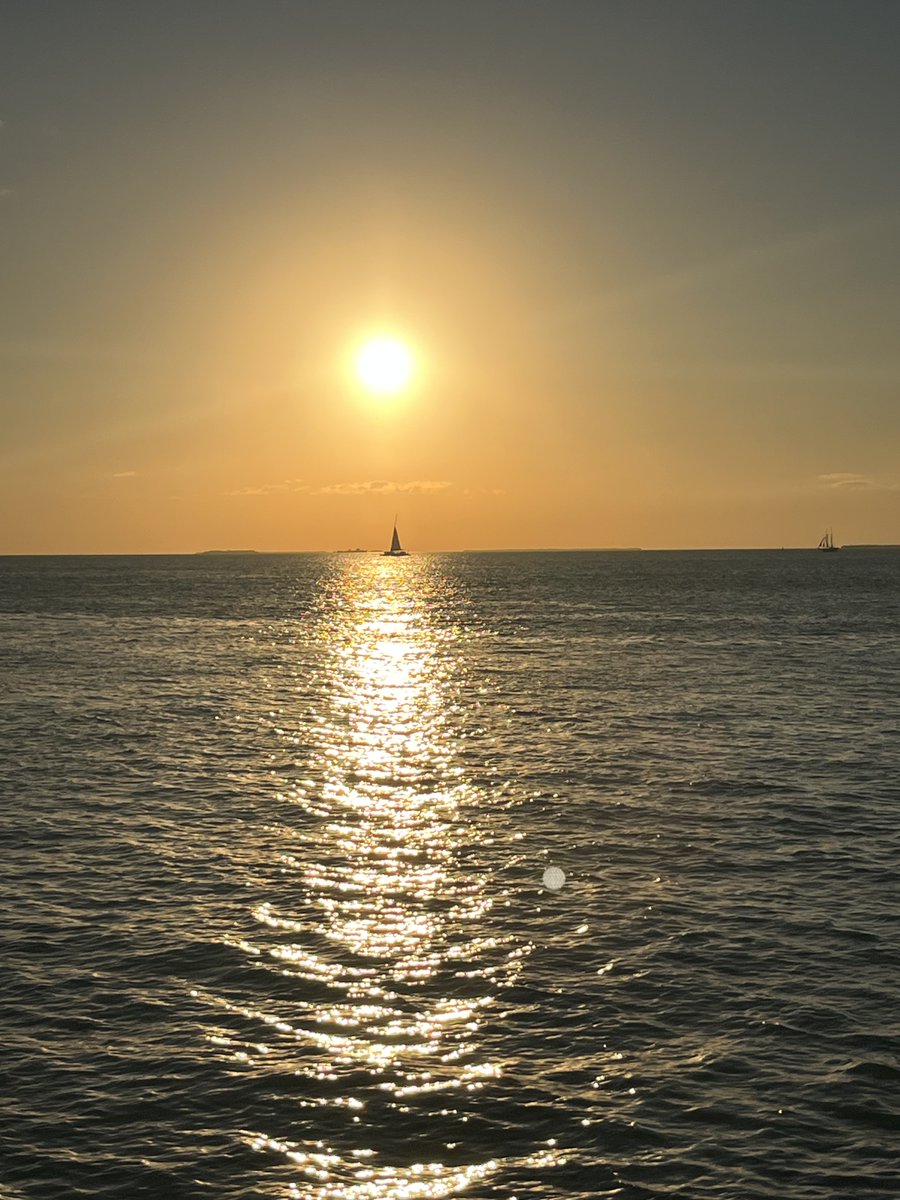 Patrick Kinahan tweet media