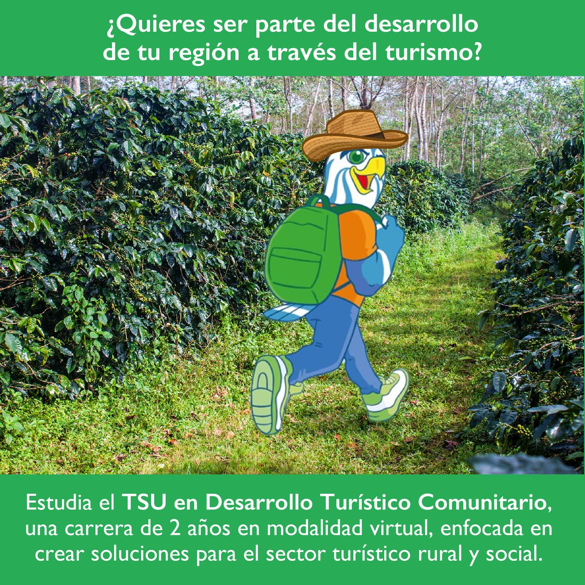 ¿Quieres ser parte del desarrollo de tu región a través del turismo?
Estudiar el TSU en Desarrollo Turístico Comunitario en modalidad virtual, enfocado en crear soluciones para el sector turístico rural y social.
Mantente al tanto de la convocatoria en: uv.mx/escolar/avisoc…