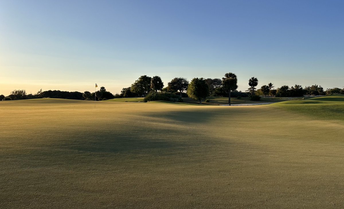 Andy Johnson tweet media