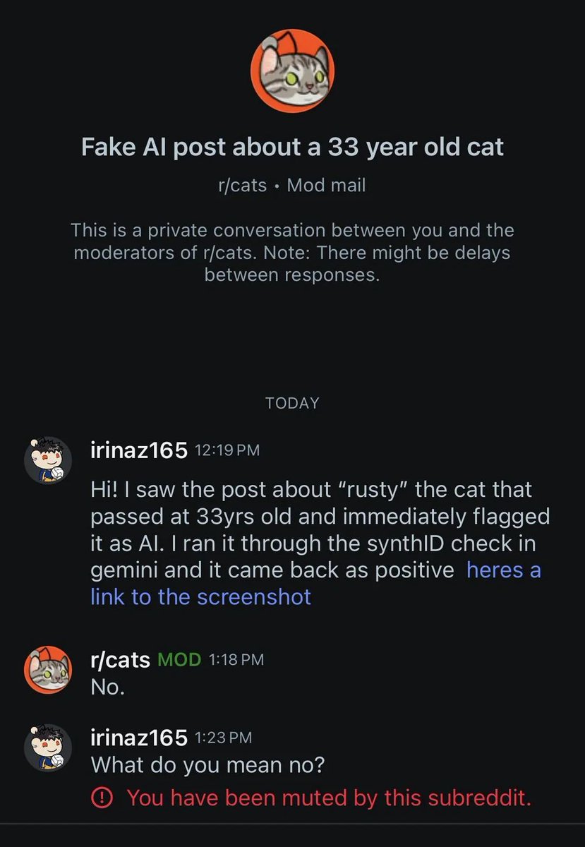 Reddit Lies tweet media