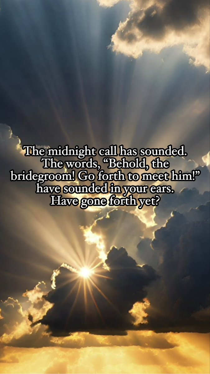 nelsonbibit tweet media