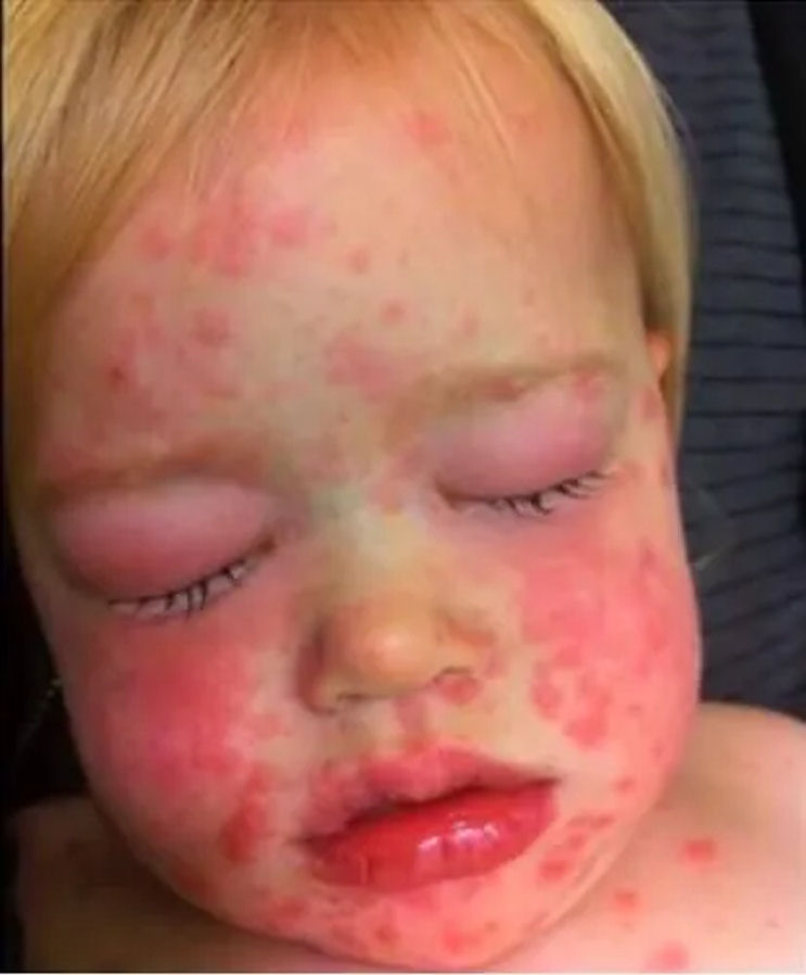 <a href="/iammzsylvia/">Iammzsylvia</a> DON'T GIVE VACCINES TO YOUR KIDS