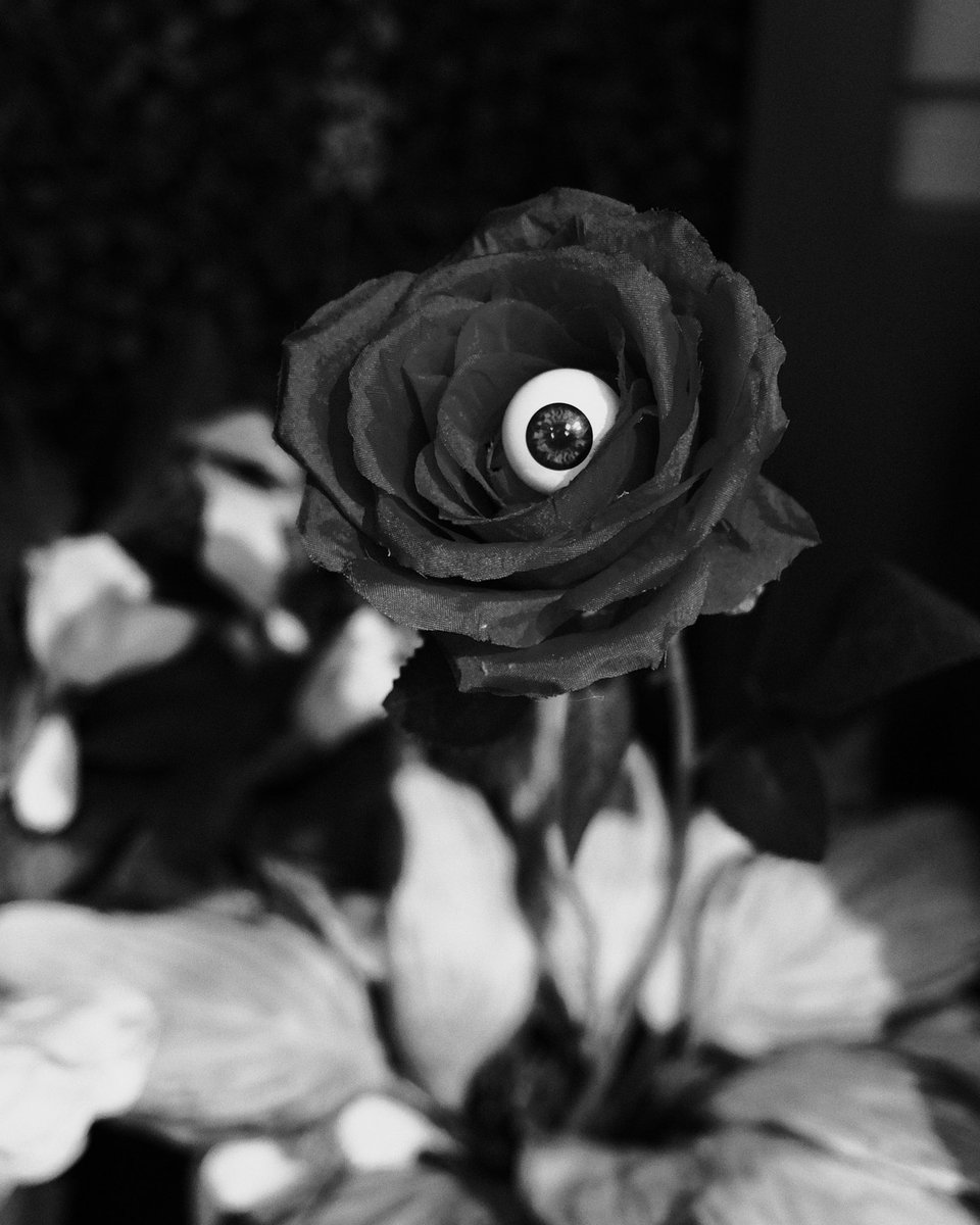 Kate Russell tweet media