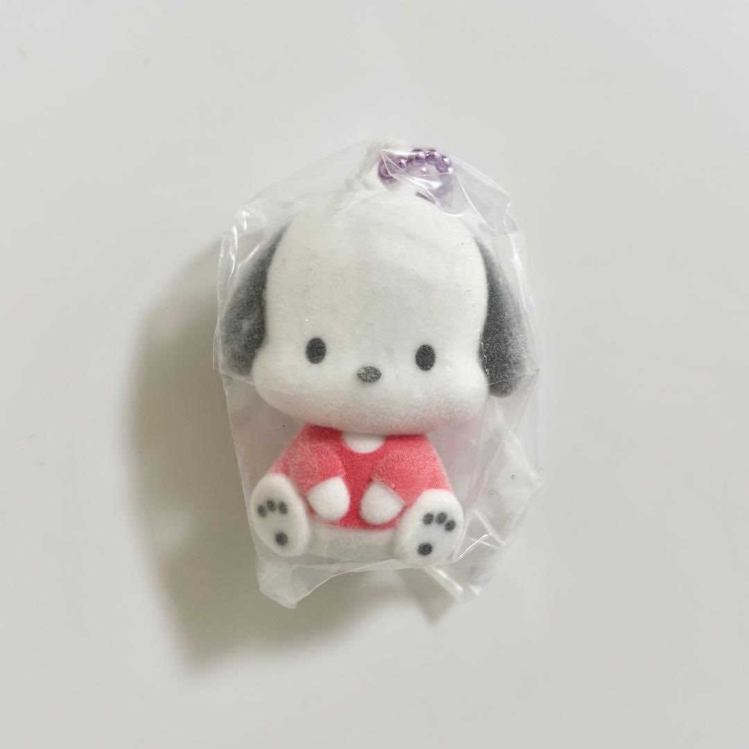 pochacco sitting politely 💫