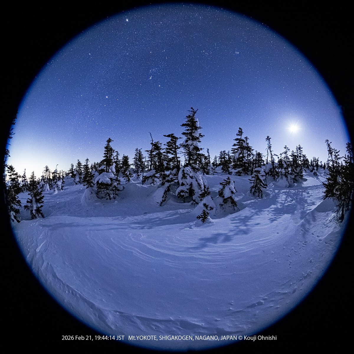 Kouji Ohnishi 大西浩次 (@koujiohnishi) / Posts / X