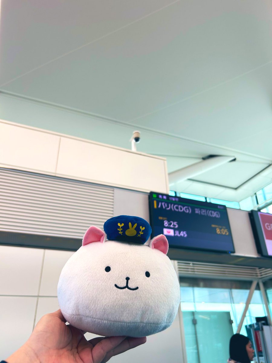 アニメ『ご注文はうさぎですか？』劇場版制作中♪ (@usagi_anime