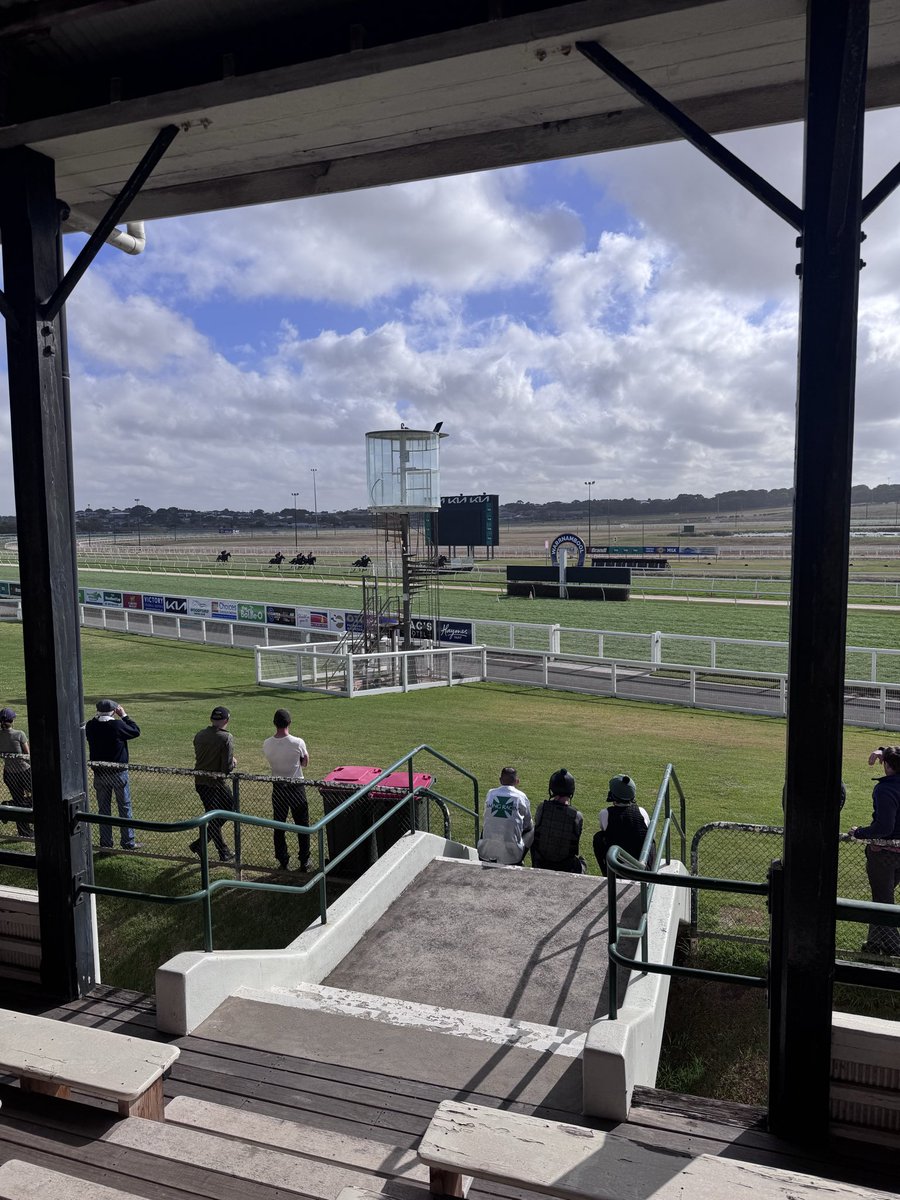 matty stewart tweet media