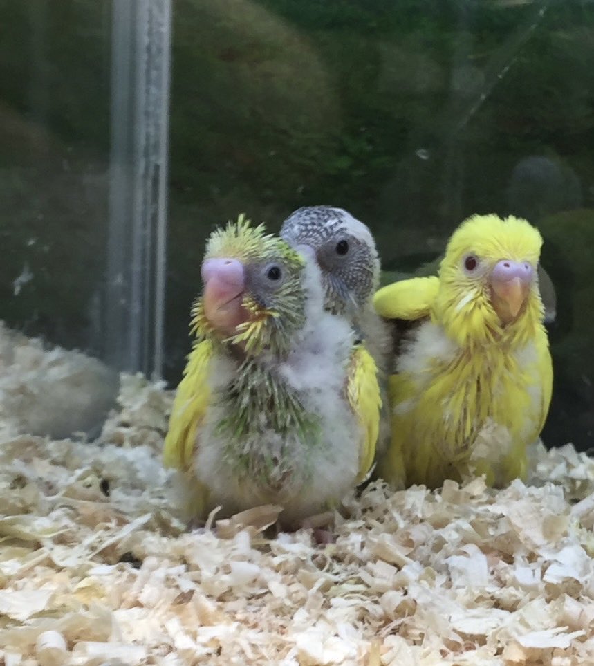 昨日はたくさんお祝いありがとうございました😊 1枚目ショップで出会っ