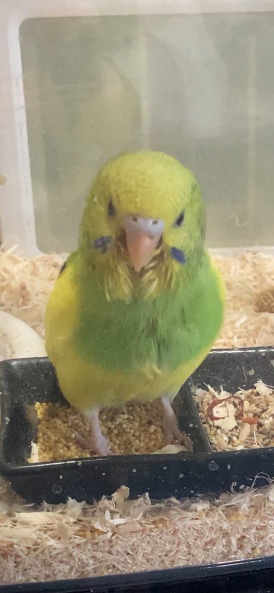 昨日はたくさんお祝いありがとうございました😊 1枚目ショップで出会っ