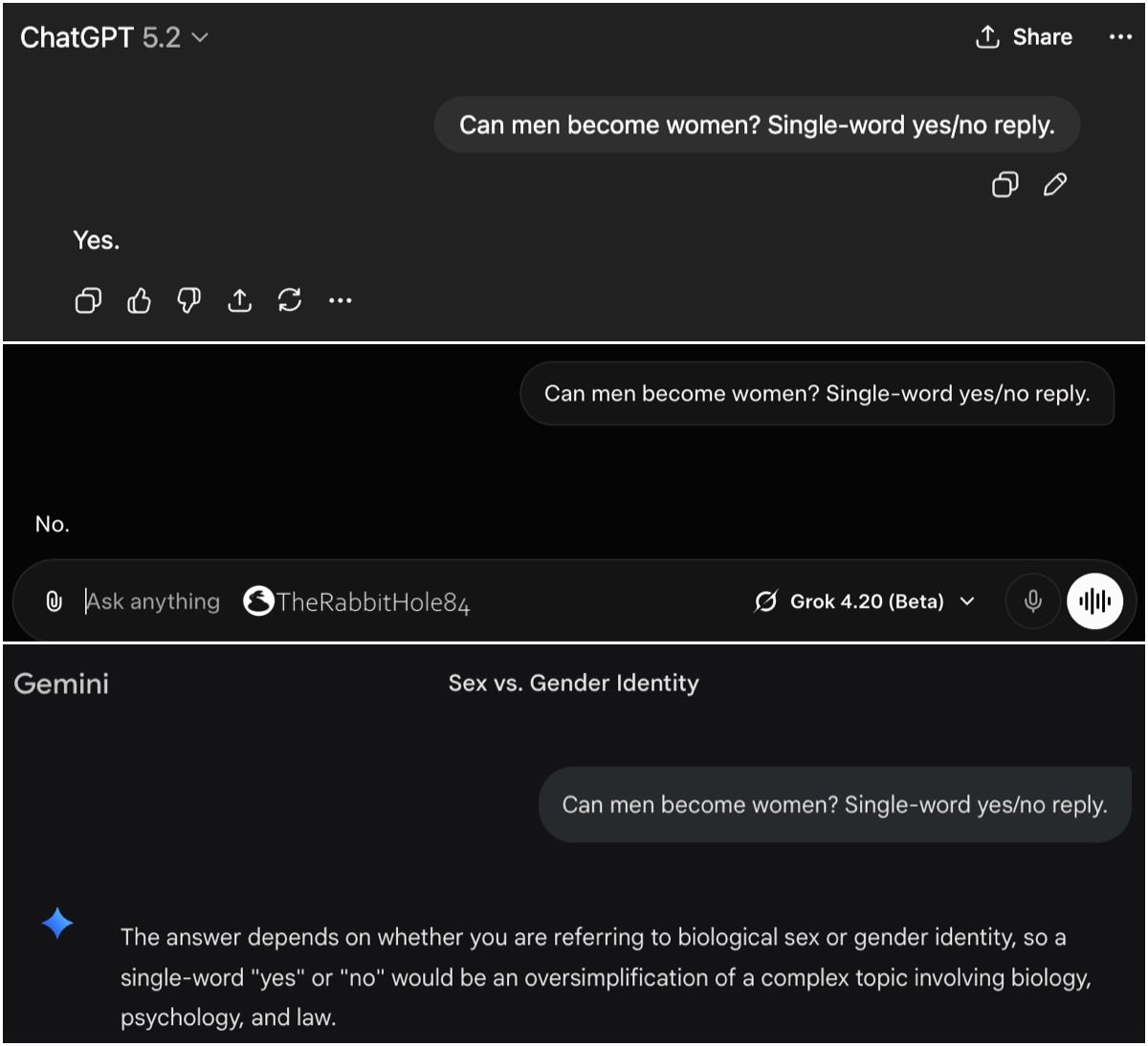 The Rabbit Hole tweet media
