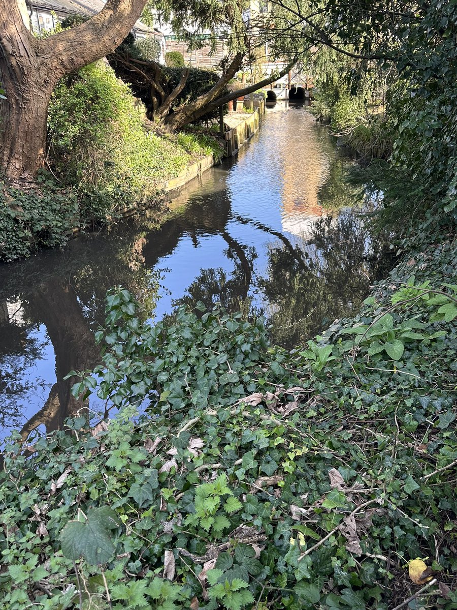 Denise Jackson tweet media