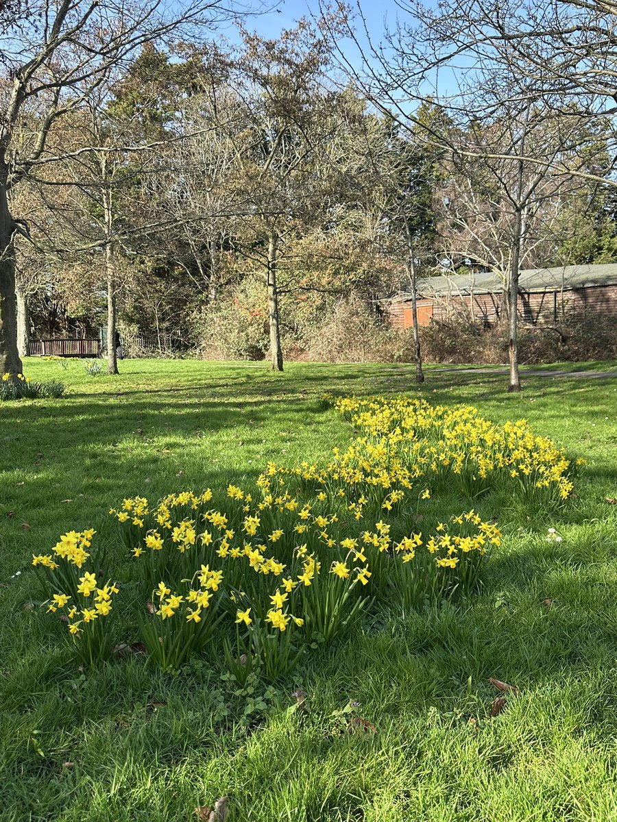 Denise Jackson tweet media