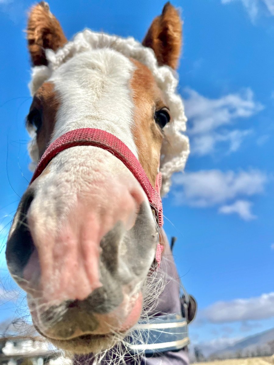 NACO (@NACONaCo1009) / Posts / X